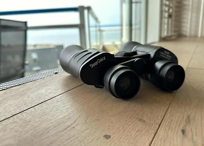 Sterflat Aan Zee 海边的艾格蒙特